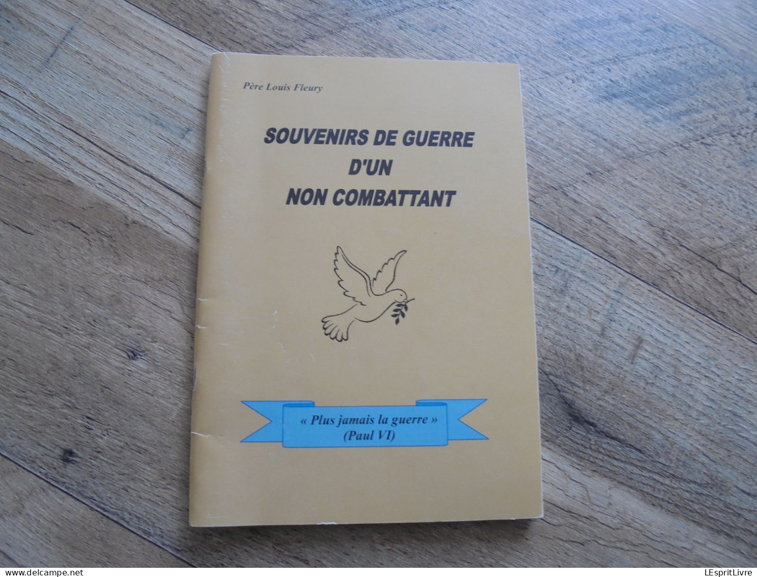 SOUVENIRS DE GUERRE D'UN NON COMBATTANT Régionalisme Valenciennes Guerre 40 45 Bataille Bouchain STO Libération Rafle - War 1939-45