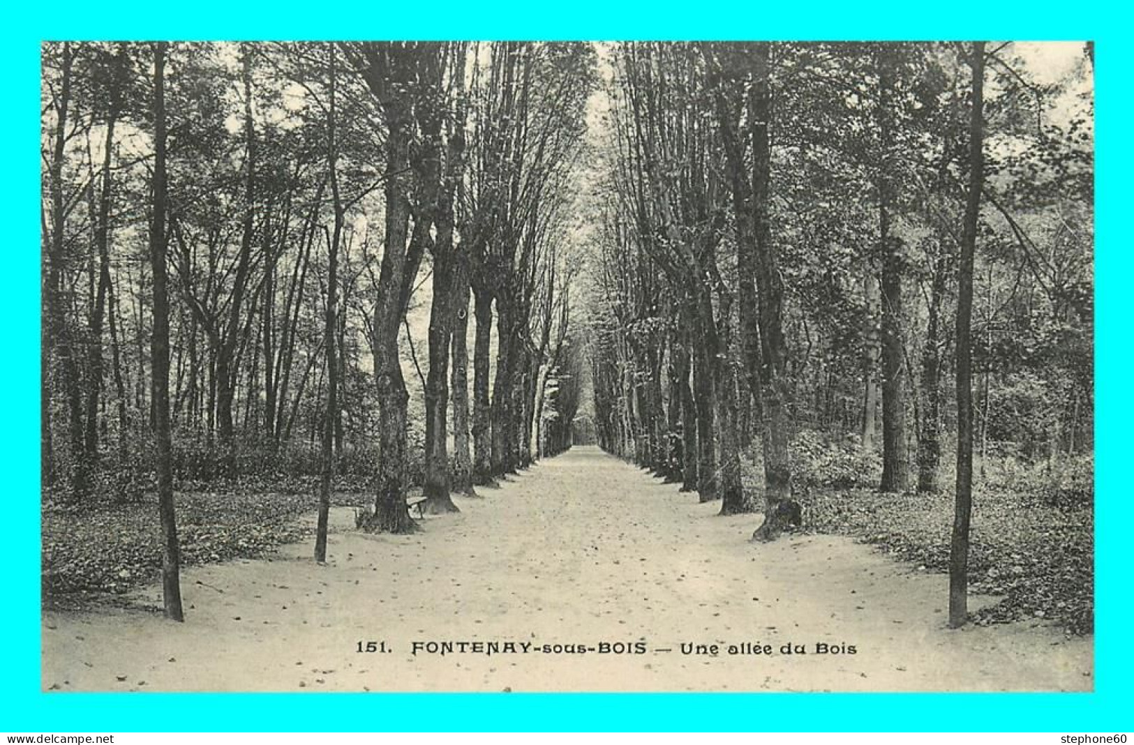 A736 / 371 94 - FONTENAY SOUS BOIS Une Allée Du Bois - Fontenay Sous Bois