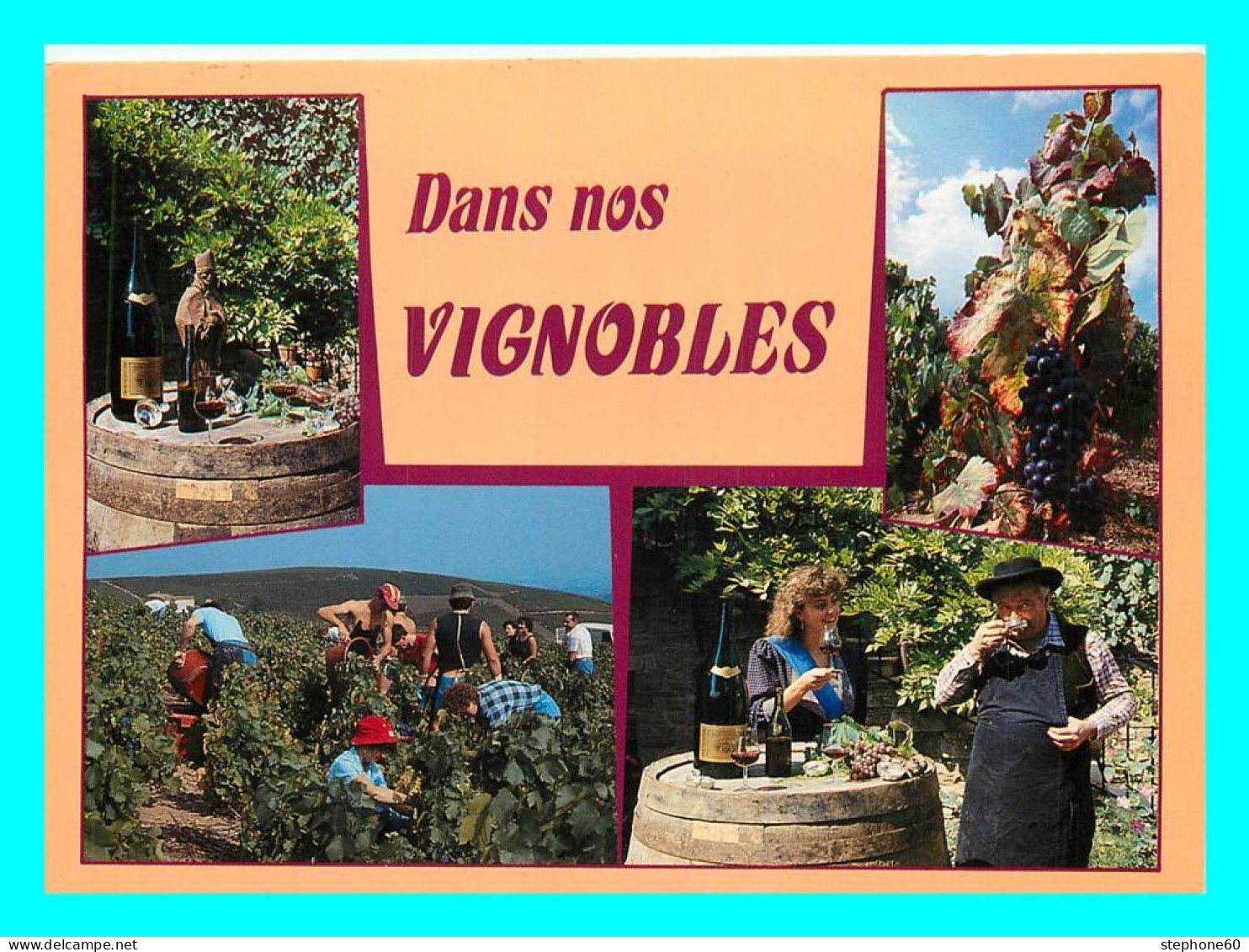 A743 / 253 Dans Nos Vignobles ( Vin - Vignes ) Multivues - Viñedos