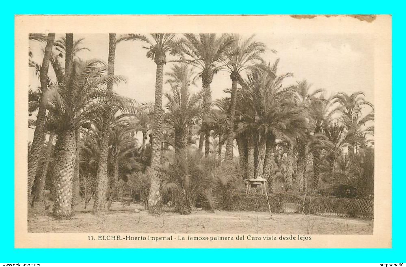 A741 / 227 Espagne ELCHE Huerto Imperial La Famosa Palmera - Alicante