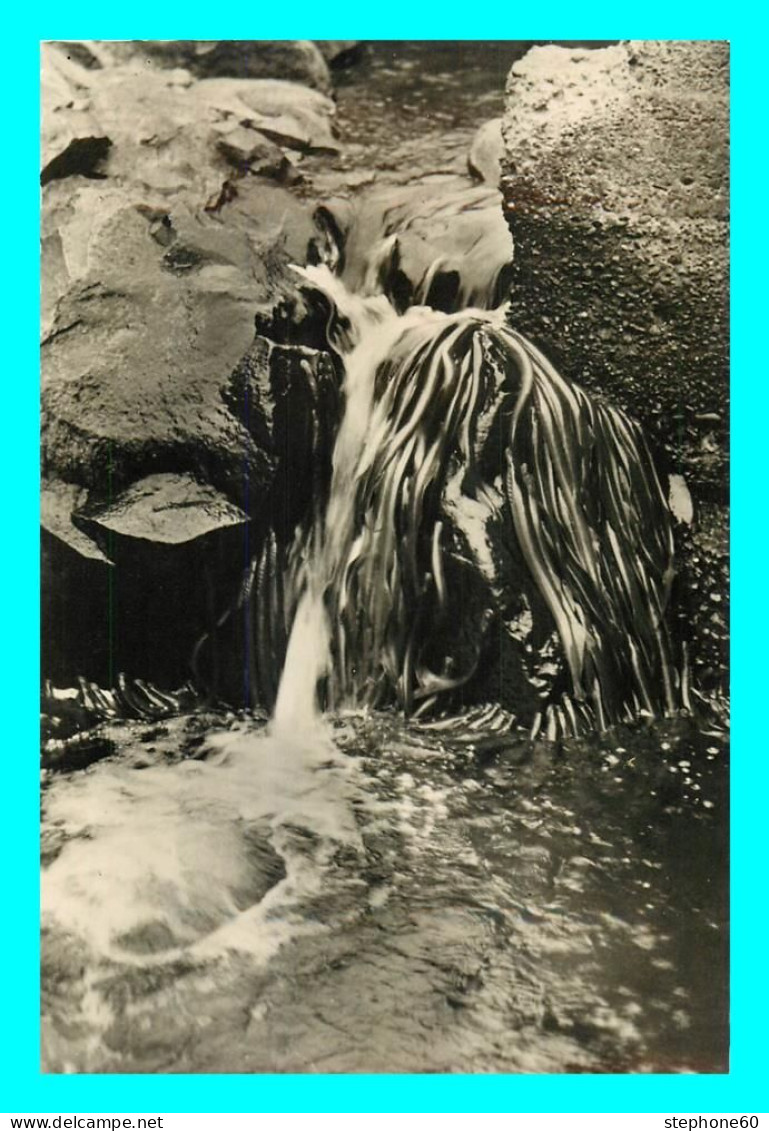 A745 / 333 Poisson Anguilles Chutes De La Williamette River Oregon N° 150 - Poissons Et Crustacés