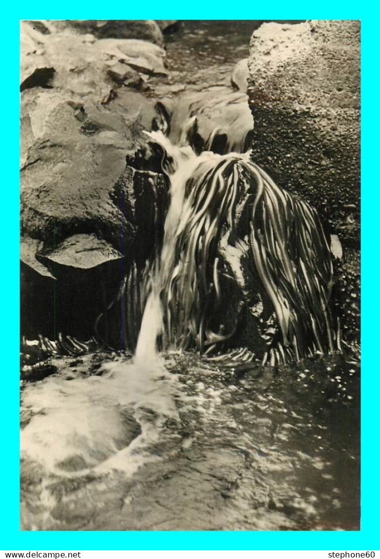 A745 / 333 Poisson Anguilles Chutes De La Williamette River Oregon N° 150 - Fish & Shellfish