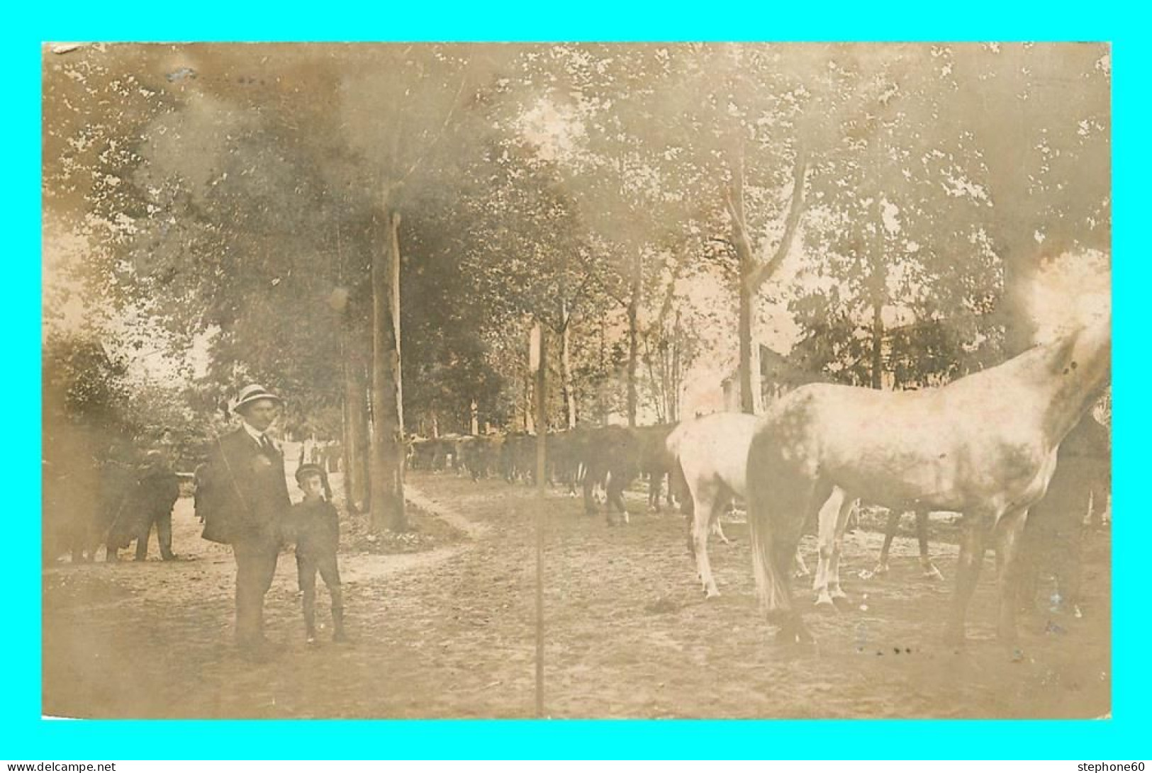 A751 / 373 HOMME Et Enfant Chevaux Carte PHOTO - Hombres