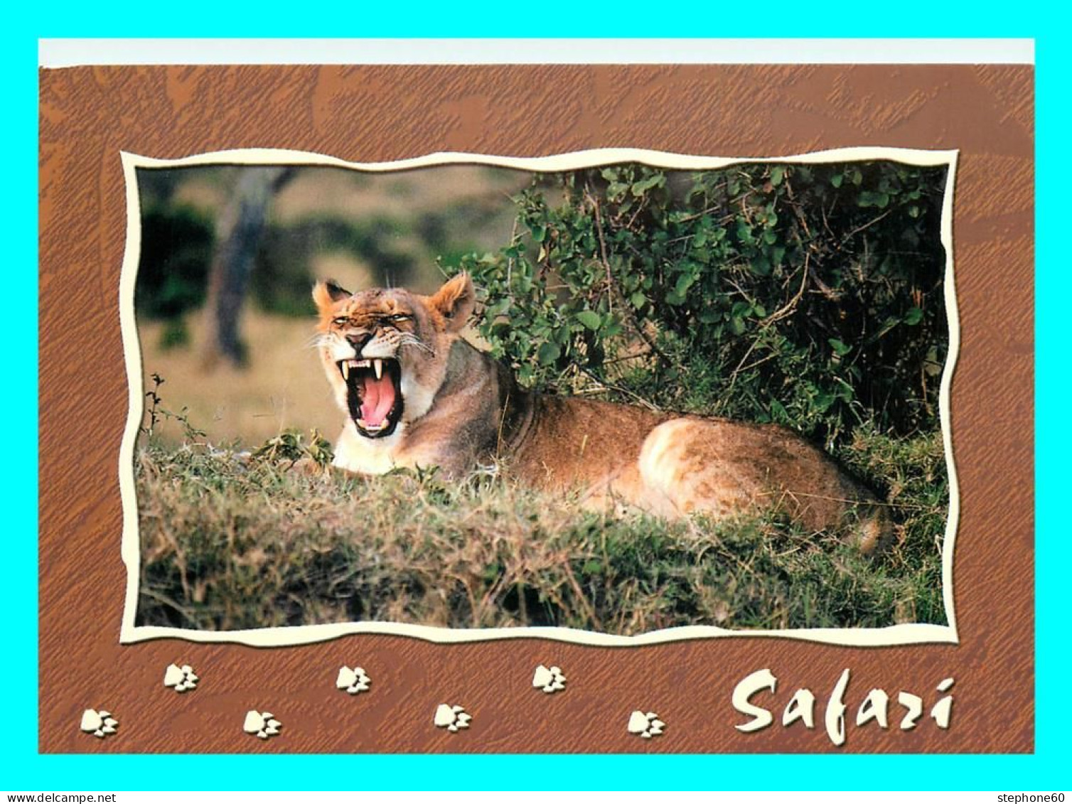A757 / 401 Safari Lioness Lion Lionne - Leeuwen