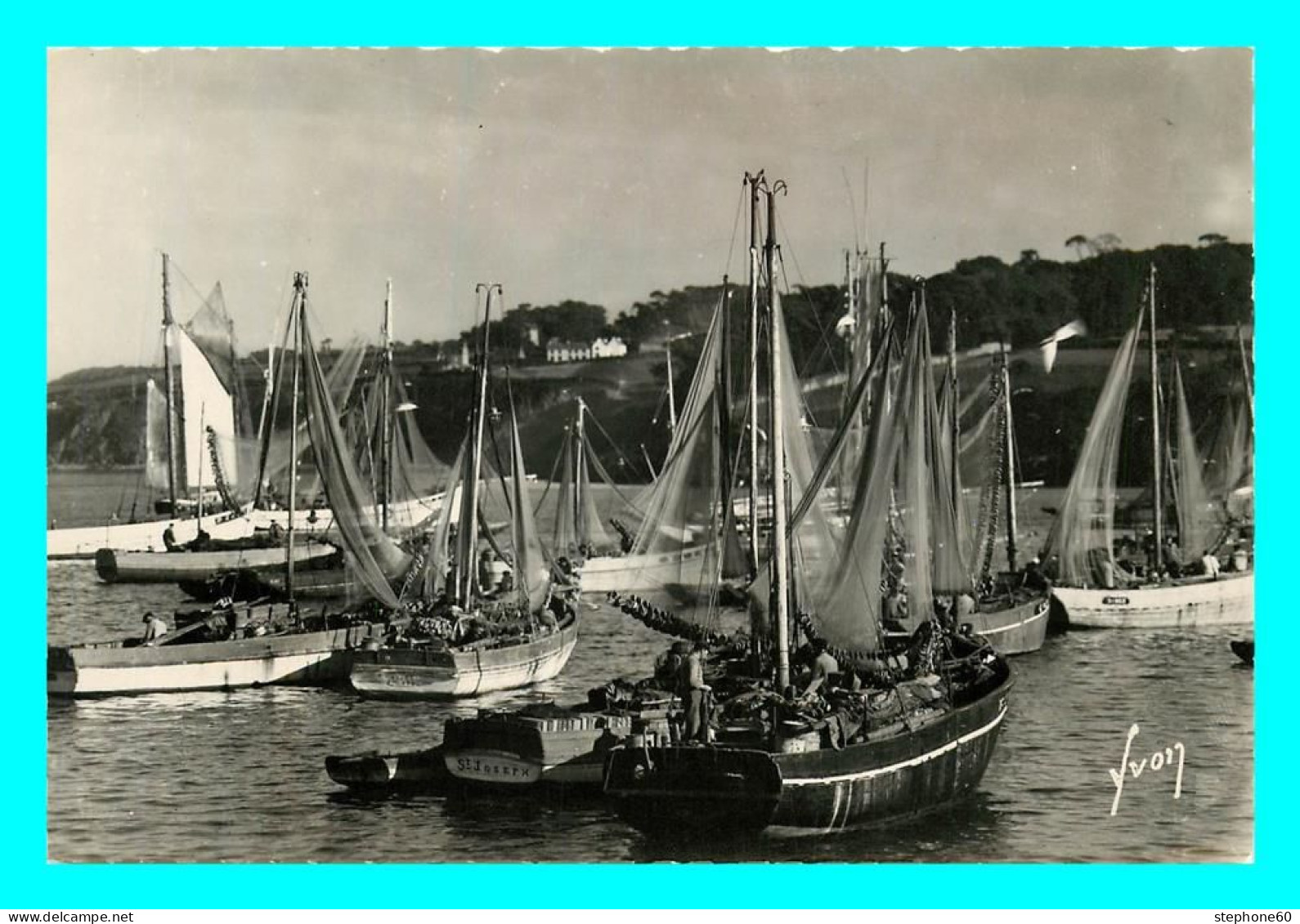 A759 / 367 29 - DOUARNENEZ Sardiniers Au Port ( Bateau ) - Douarnenez