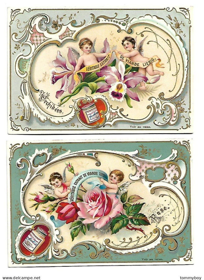 S 475, Liebig 6 Cards, Fleurs Et Amour ( 2 Cards Has Some Spots At The Back) - Liebig