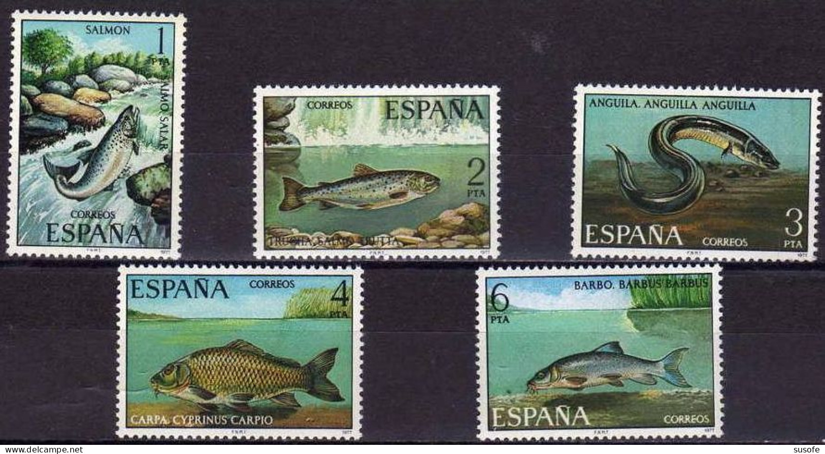España 1977 Edifil 2403/7 Sellos ** Fauna Hispanica Peces Salmón (Salmo Salar), Trucha (Salmo Trutta), Anguila (Anguilla - Nuovi