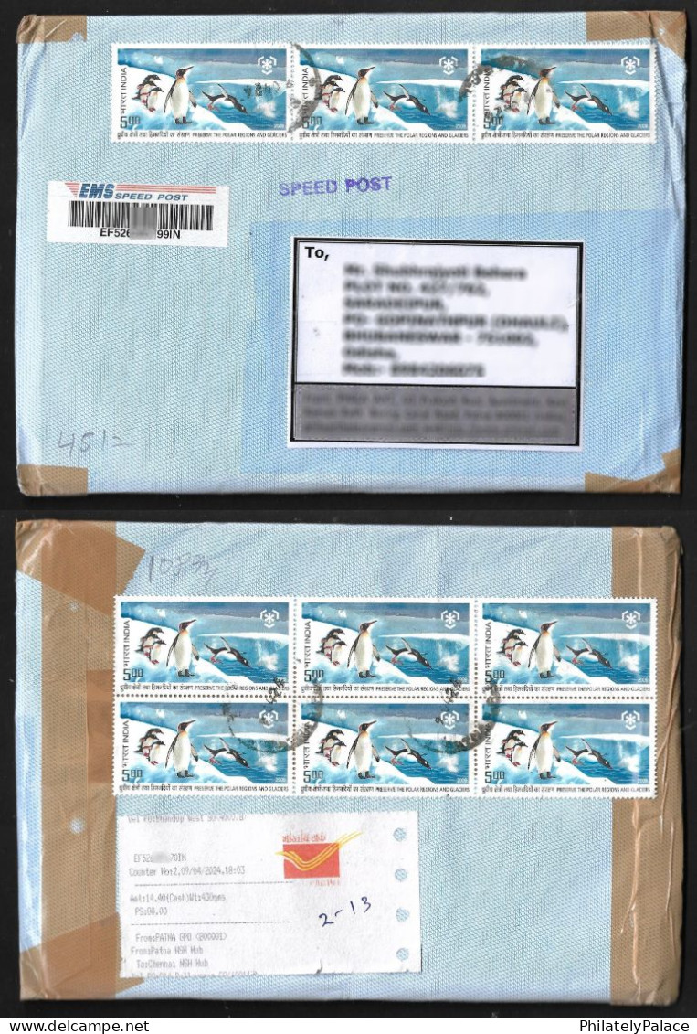 India 2009 Preserve The Polar Region, Penguin, Bird, Glacier, Snow, Blue, EMS, Registered Cover (**) Inde Indien - Lettres & Documents