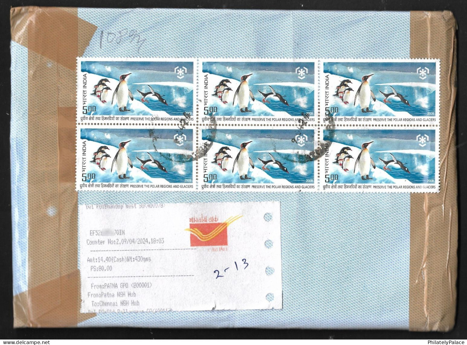 India 2009 Preserve The Polar Region, Penguin, Bird, Glacier, Snow, Blue, EMS, Registered Cover (**) Inde Indien - Cartas & Documentos