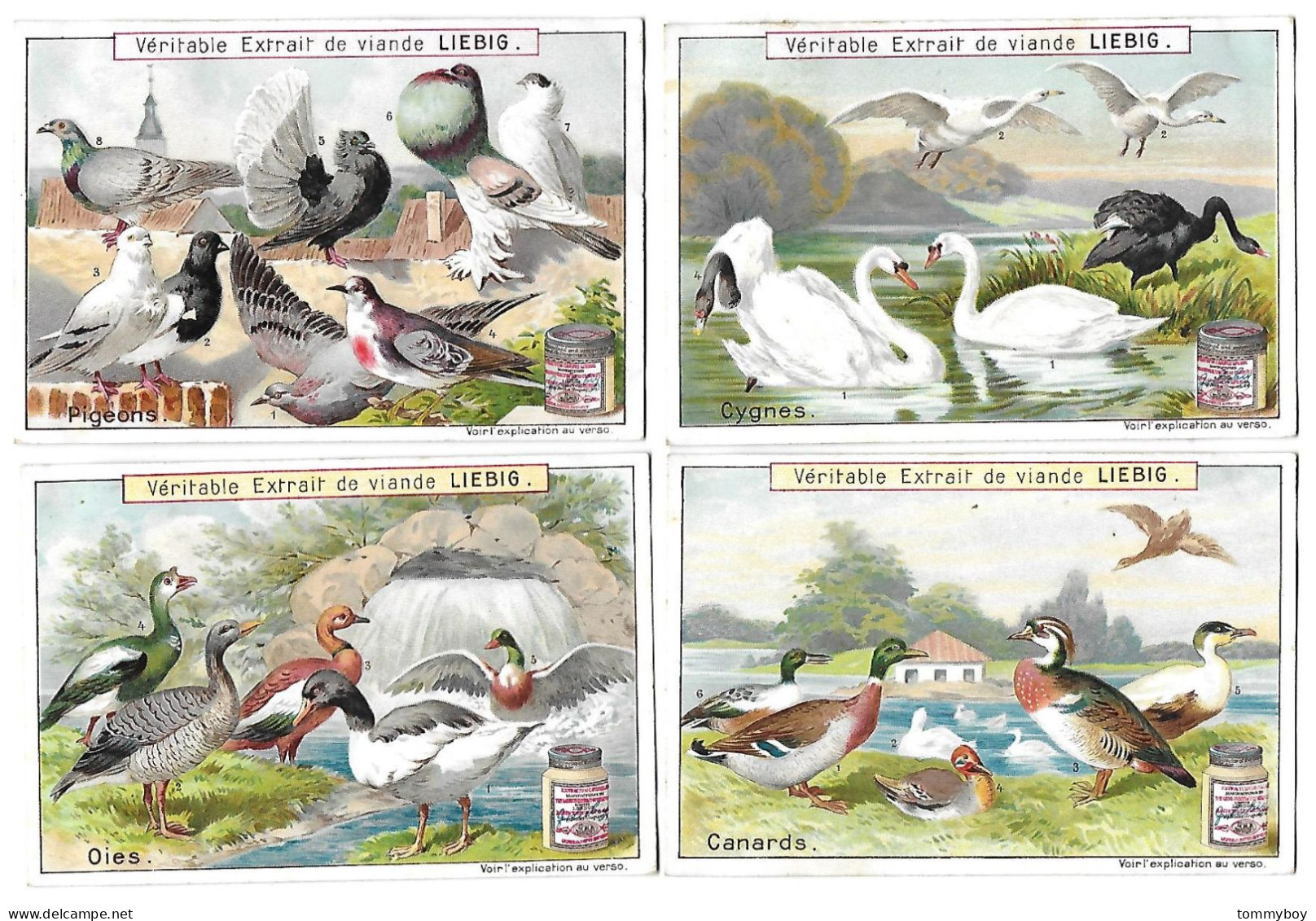 S 607, Liebig 6 Cards, Oiseaux De Basse-cour (lower Condition, Backsites Have Damage) - Liebig