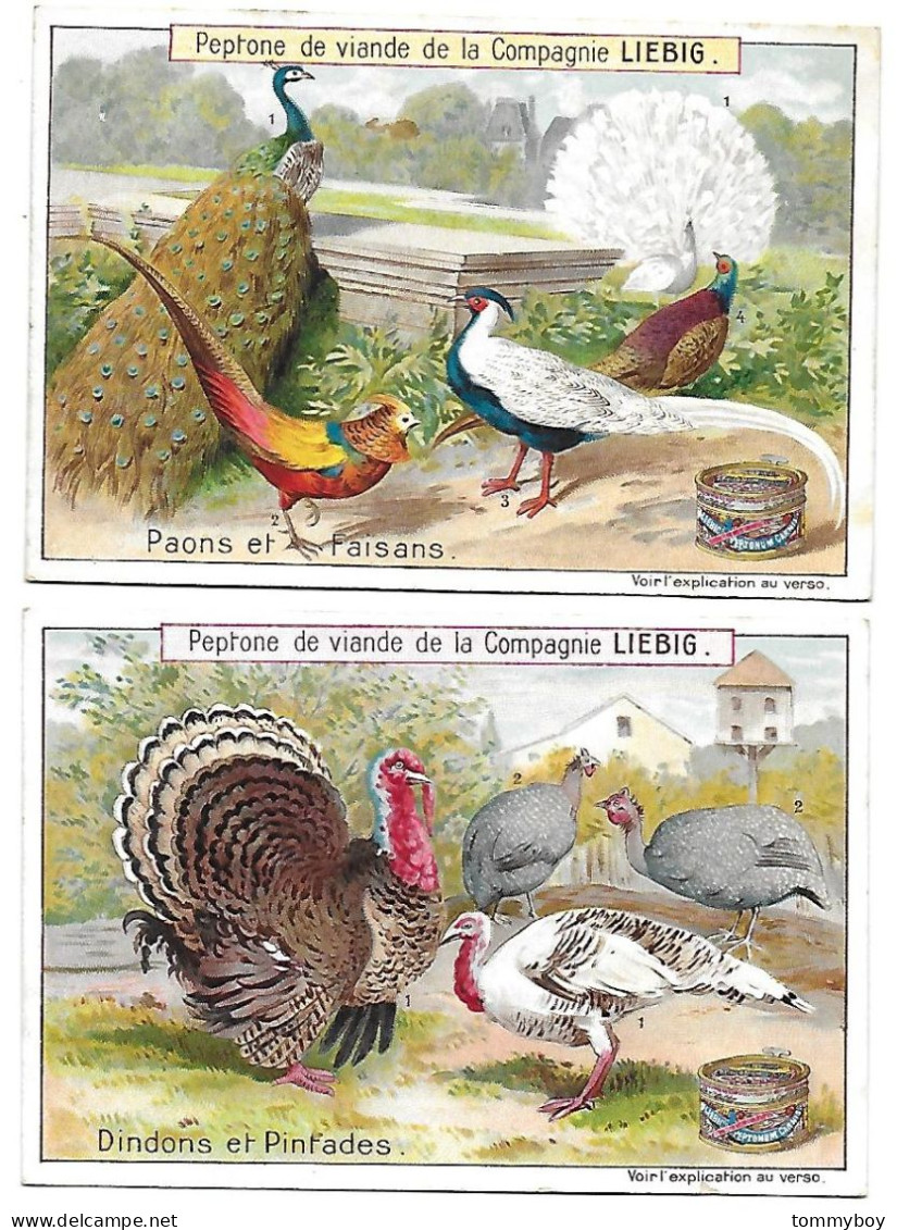 S 607, Liebig 6 Cards, Oiseaux De Basse-cour (lower Condition, Backsites Have Damage) - Liebig