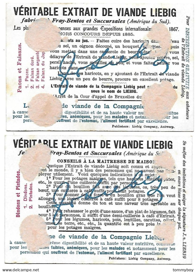 S 607, Liebig 6 Cards, Oiseaux De Basse-cour (lower Condition, Backsites Have Damage) - Liebig