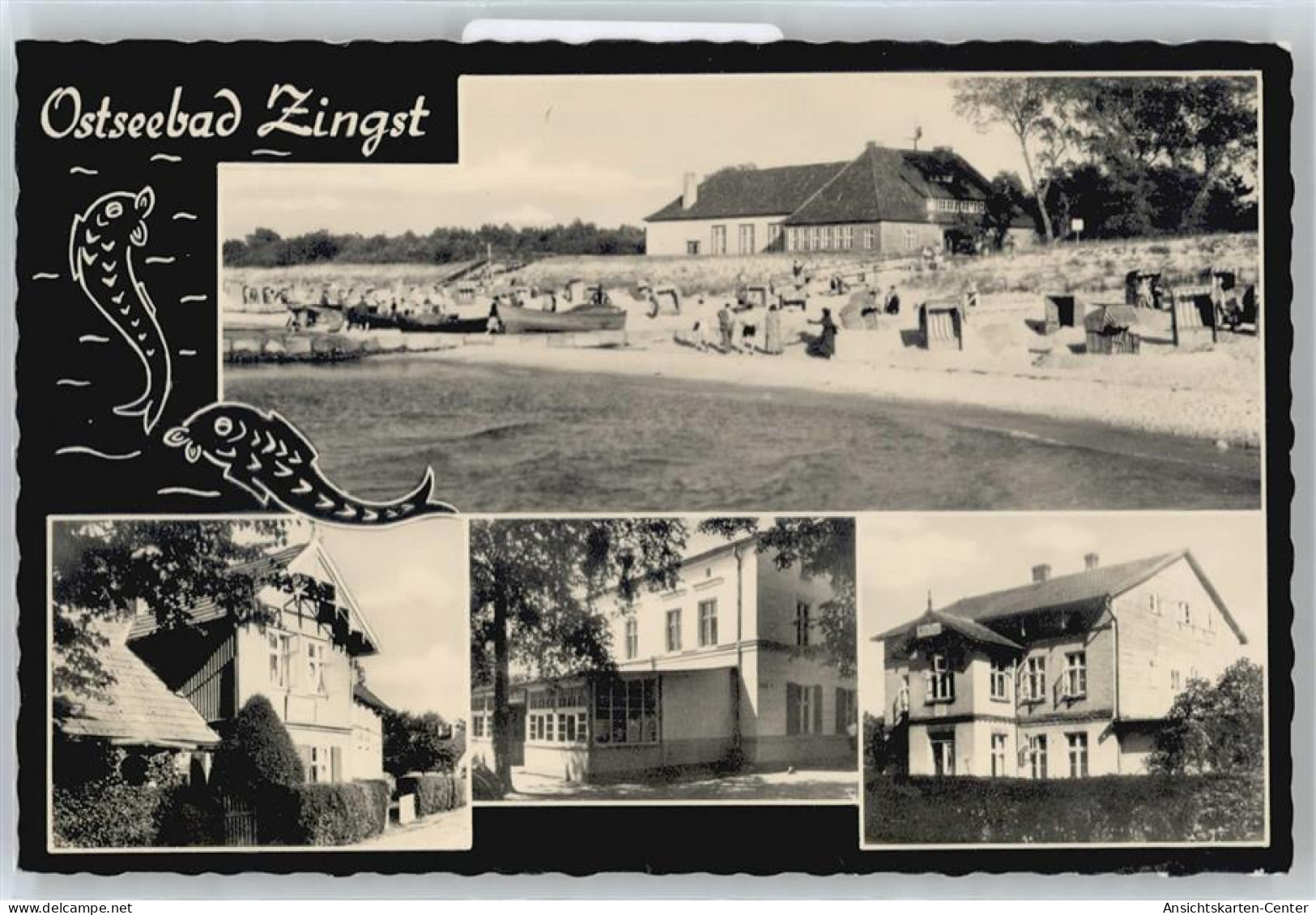 50656904 - Zingst , Ostseebad - Zingst