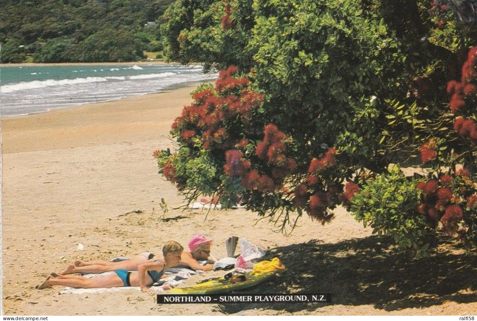 1 AK Neuseeland / New Zealand * Summer Playground In Northland * - New Zealand