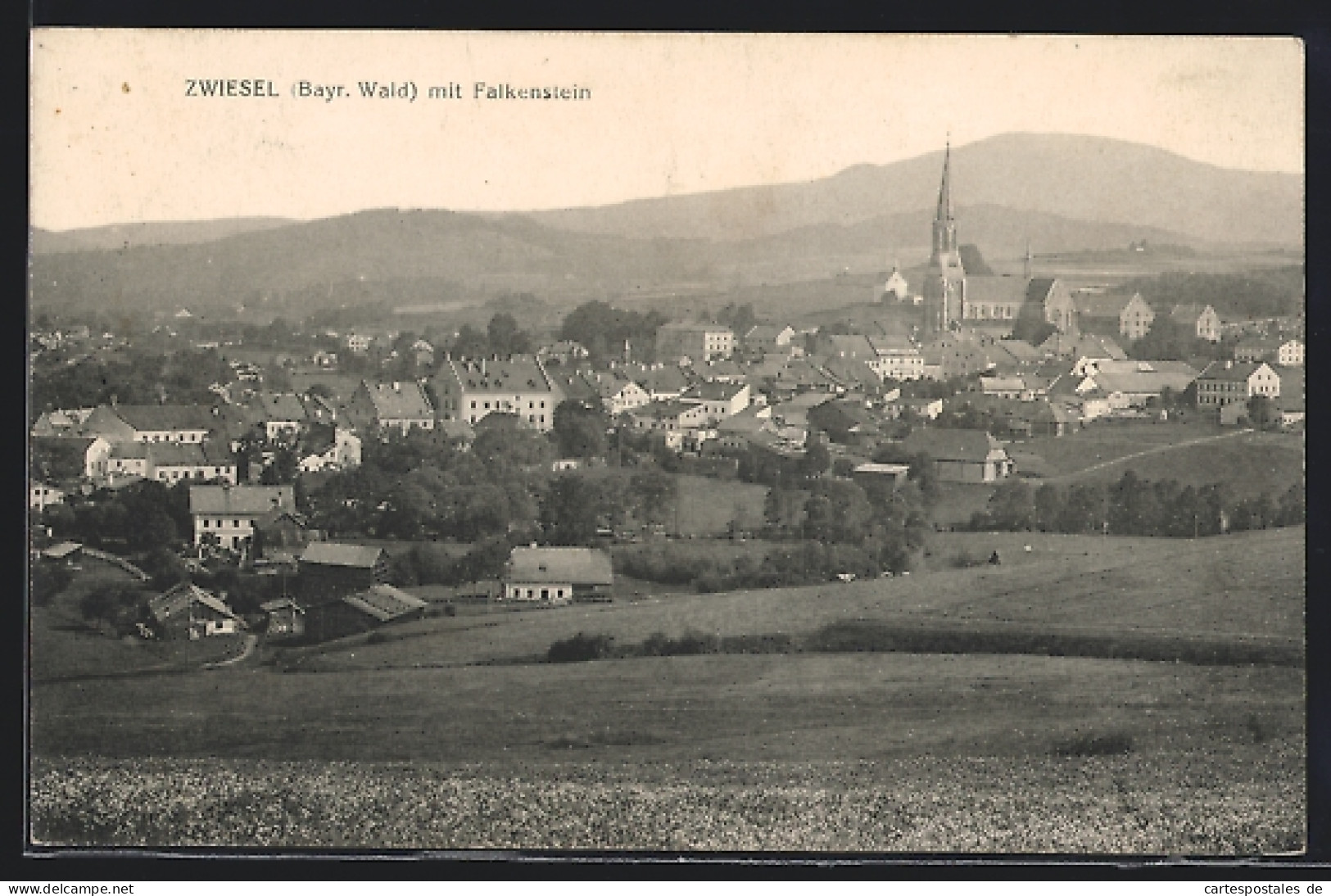 AK Zwiesel /Bayr. Wald, Ortsansicht Mit Dem Falkenstein  - Zwiesel