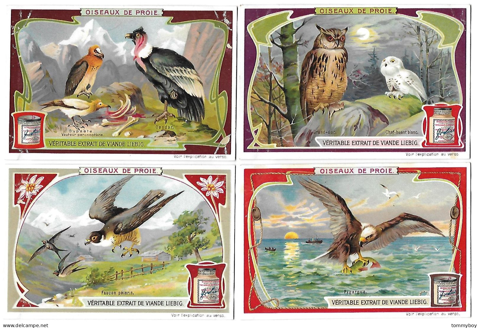 S 872, Liebig 6 Cards, Oiseaux De Proie (small Damage In Corners) - Liebig