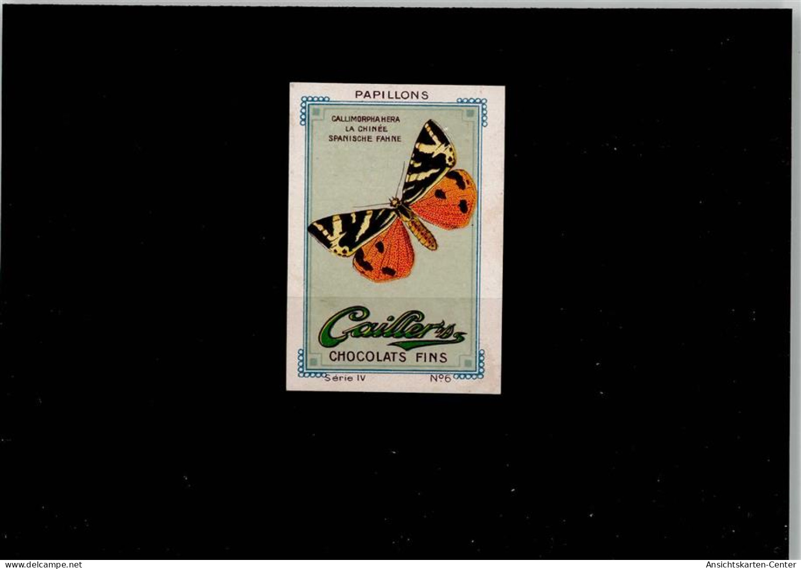 52000204 - - Butterflies