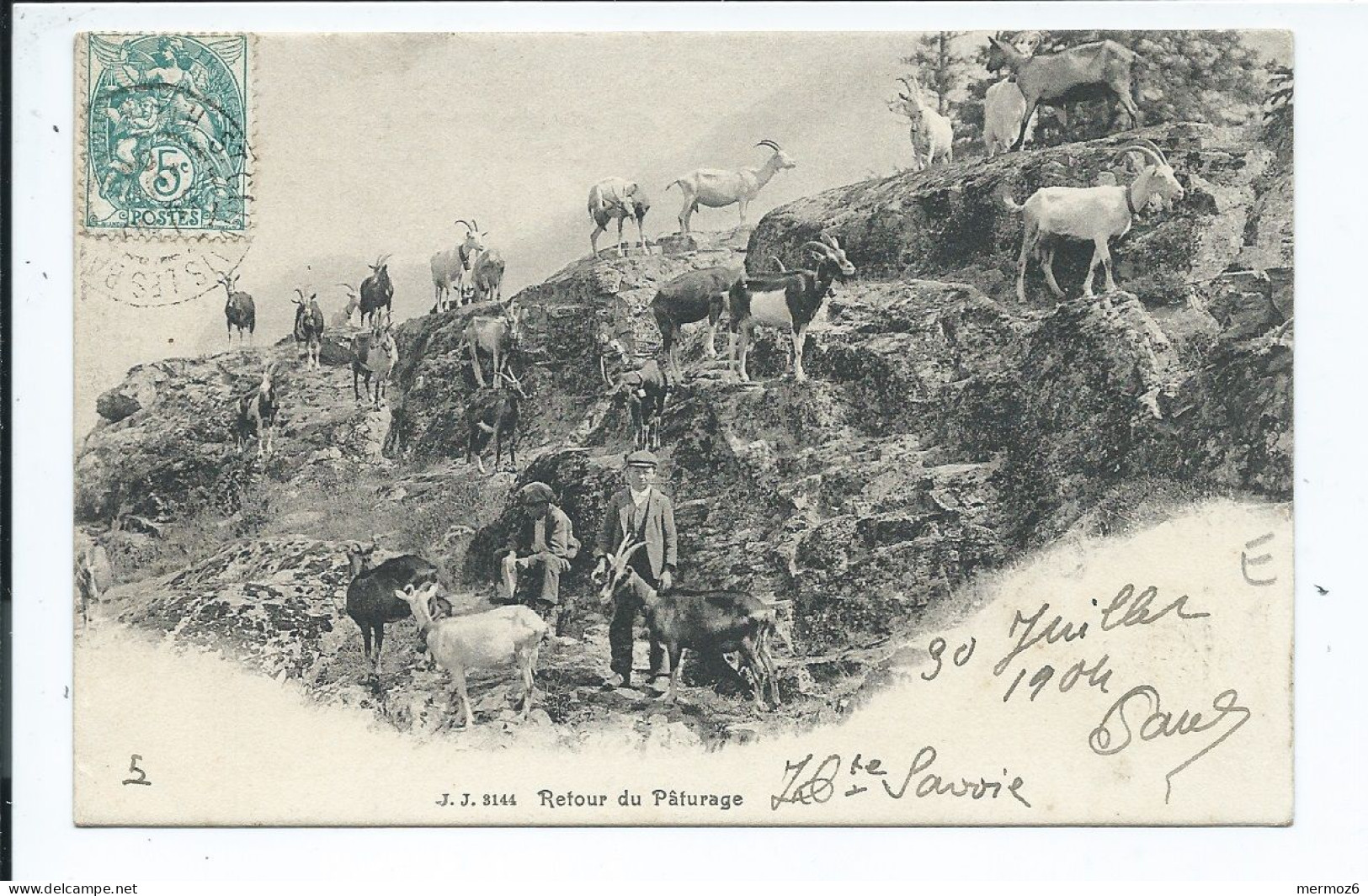 AGRICULTURE ELEVAGE SUISSE Retour Du Paturage, Voyagée 1904, Belle Animation, Animaux,, Troupeau, Precurseur Jullien - Breeding