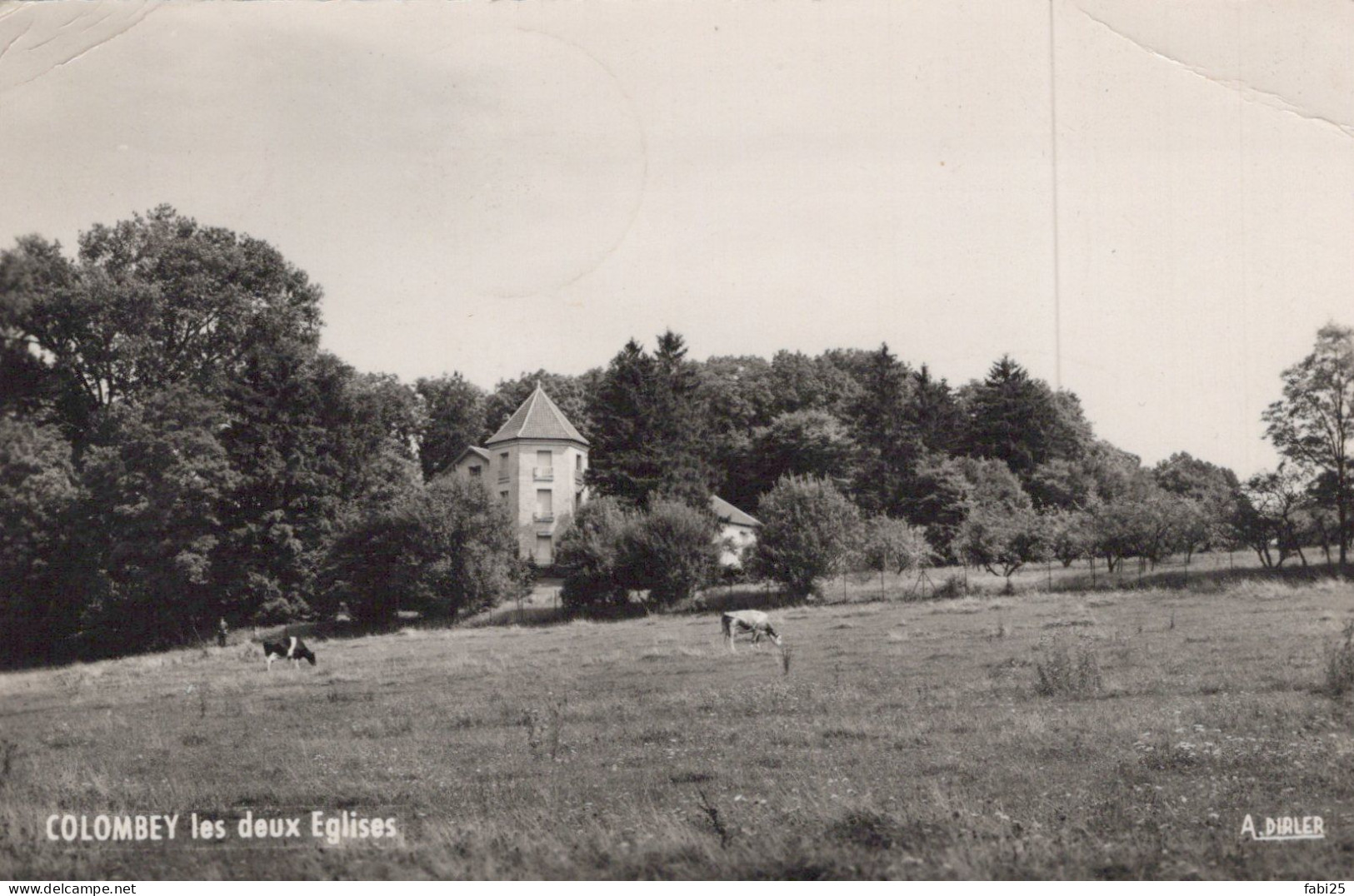 COLOMBEY LES DEUX EGLISES LA BOISSERIE - Colombey Les Deux Eglises