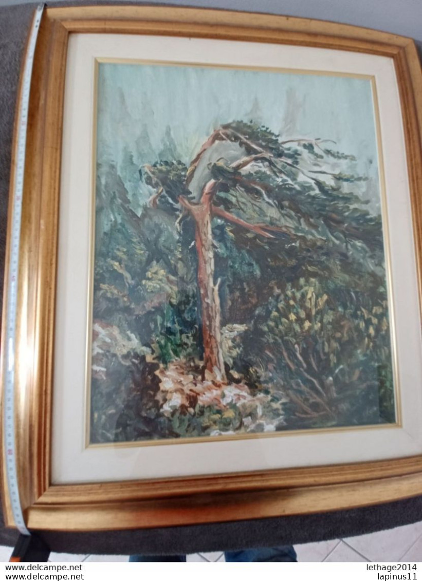 TEMPERA SU TELA ARTISTA ALBANESE J BELA LONI DIMENSIONI 60cmX68cm (ALBANIA ALBERO BANDIERA VLORE VALONA) - Estampas