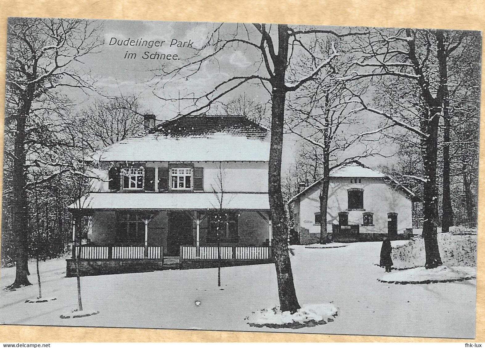 CARTE POSTALE ANCIENNE DUDELANGE - LUXEMBOURG - PARC HIVER NEIGE - Dudelange