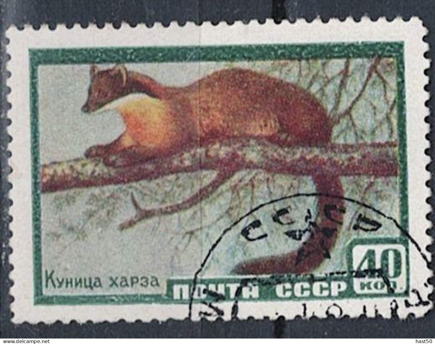Sowjetunion UdSSR - Baummarder (Martes Martes) (MiNr. 2242) 1957 - Gest Used Obl - Used Stamps