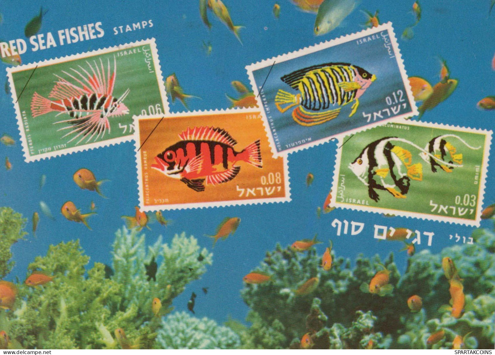 PESCADO Animales Vintage Tarjeta Postal CPSM #PBS881.A - Fish & Shellfish