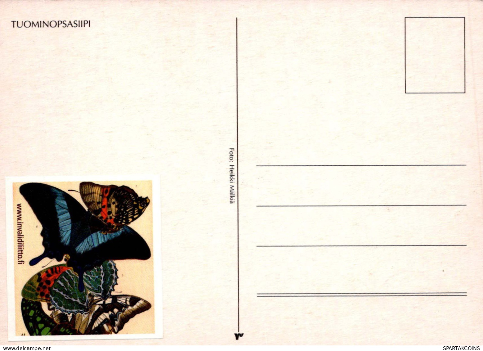 PAPILLONS Animaux Vintage Carte Postale CPSM #PBS413.A - Papillons