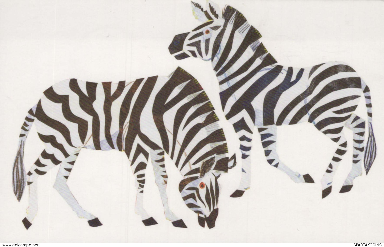 ZEBRA Animals Vintage Postcard CPSM #PBR939.A - Zebra's