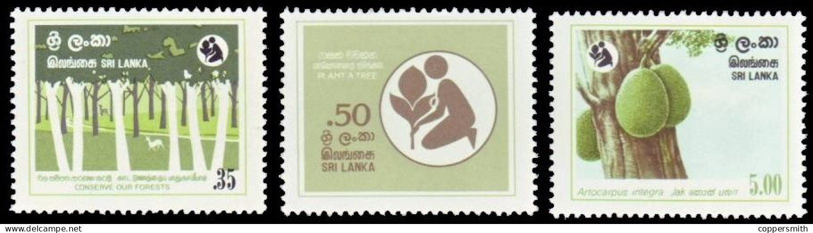 (0095) Sri Lanka  1981 / Flora / Plants / Trees / Forests / Forets / Wald   ** / Mnh Michel 567-569 - Sri Lanka (Ceylan) (1948-...)