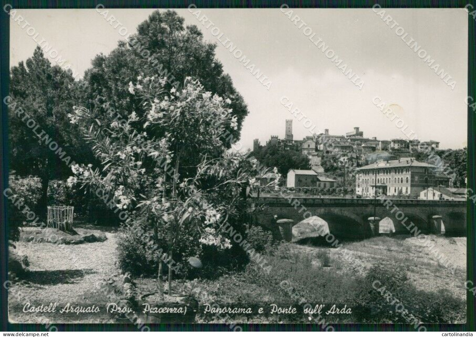 Piacenza Castell'Arquato PIEGHINA Foto FG Cartolina ZK4292 - Piacenza