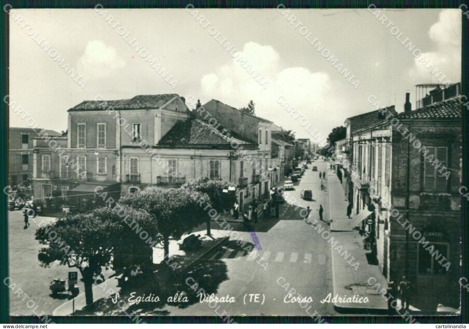 Teramo Sant'Egidio Alla Vibrata Foto FG Cartolina ZK5416 - Teramo