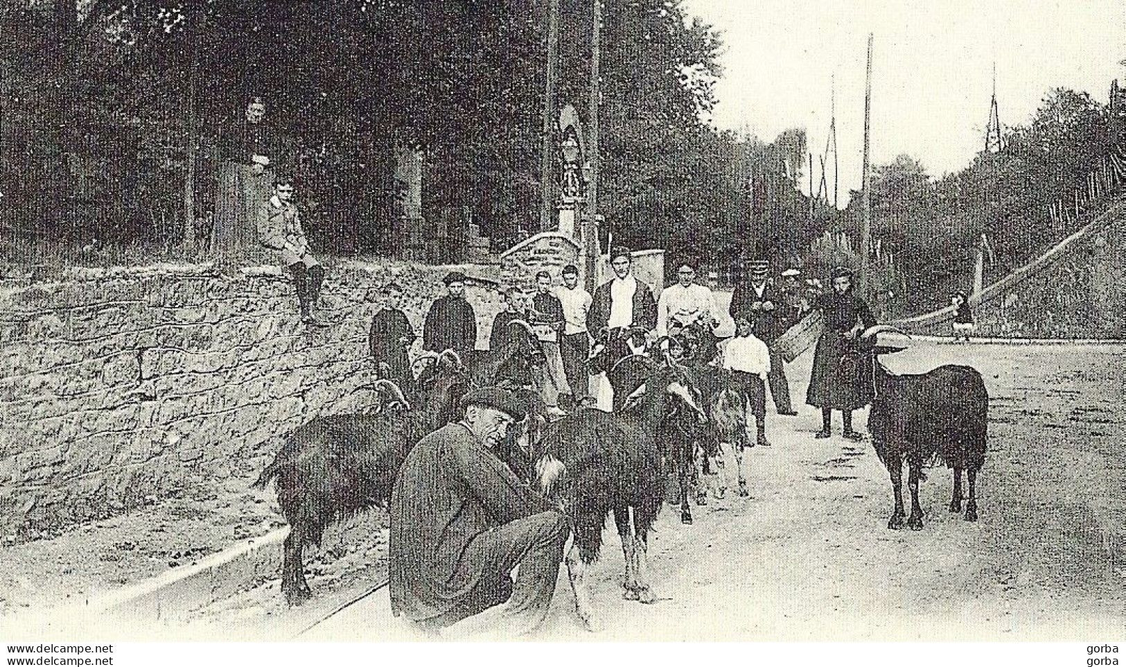 *Repro CPA - 64 - SALIES DE BEARN- Vente De Lait Dans Les Rues De La Ville - Salies De Bearn