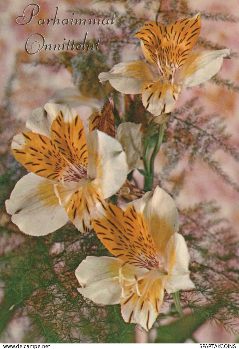 FLOWERS Vintage Ansichtskarte Postkarte CPSM #PAR158.DE - Fleurs