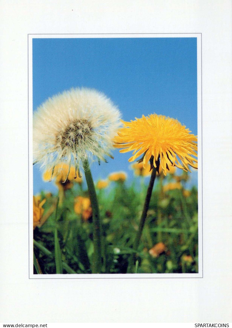 FLOWERS Vintage Ansichtskarte Postkarte CPSM #PAR339.DE - Fleurs