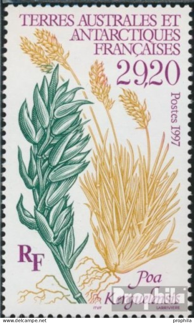 Französ. Gebiete Antarktis 367 (kompl.Ausg.) Postfrisch 1997 Pflanzen Der Antarktis - Unused Stamps