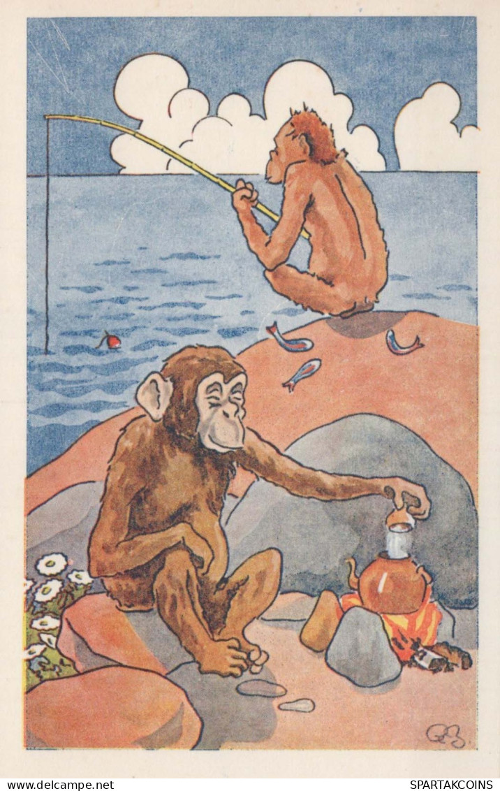 SINGE Animaux Vintage Carte Postale CPA #PKE767.FR - Singes