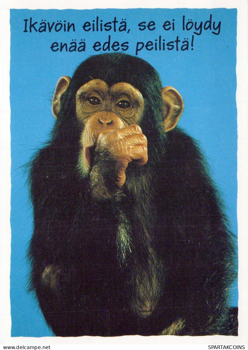 SINGE Animaux Vintage Carte Postale CPSM #PBR985.FR - Singes