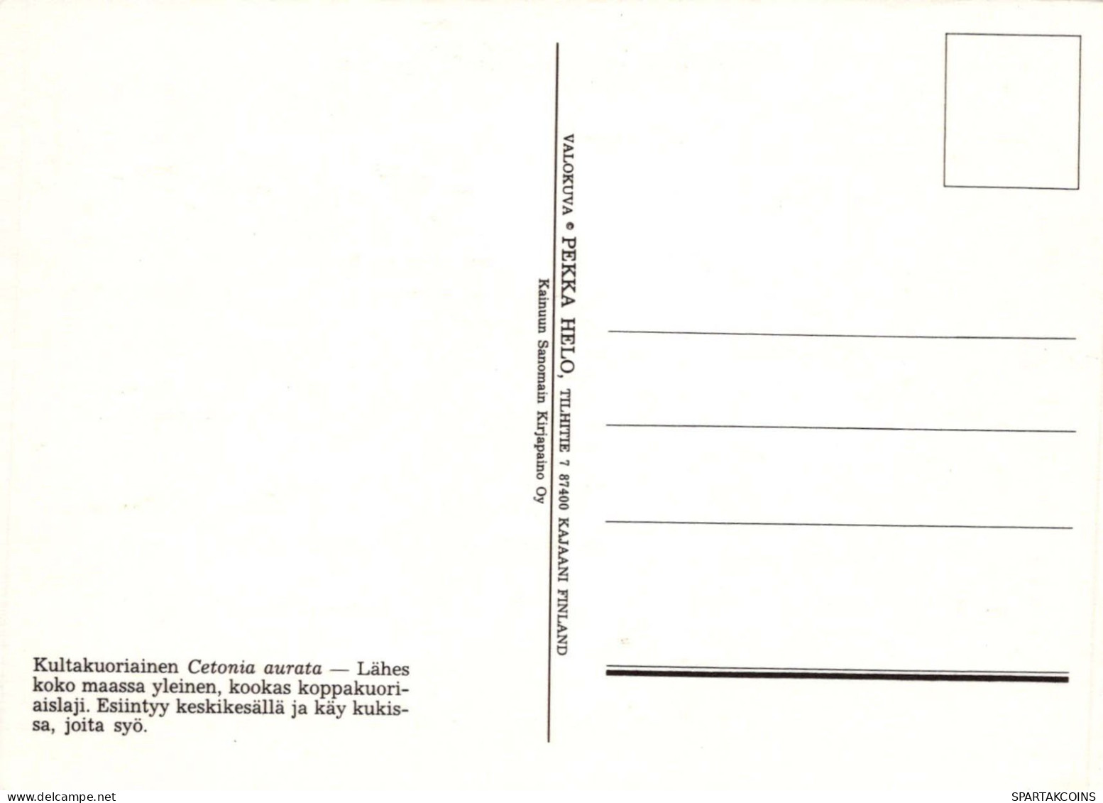 INSEKTEN Tier Vintage Ansichtskarte Postkarte CPSM #PBS495.DE - Insectes