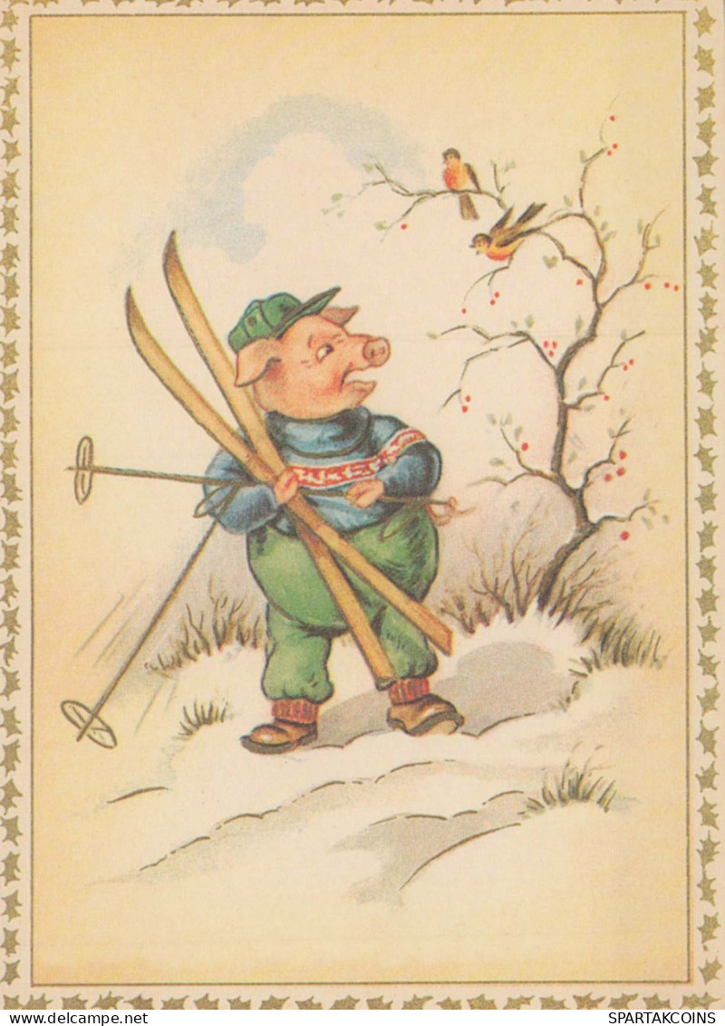 PIGS Tier Vintage Ansichtskarte Postkarte CPSM #PBR770.DE - Maiali