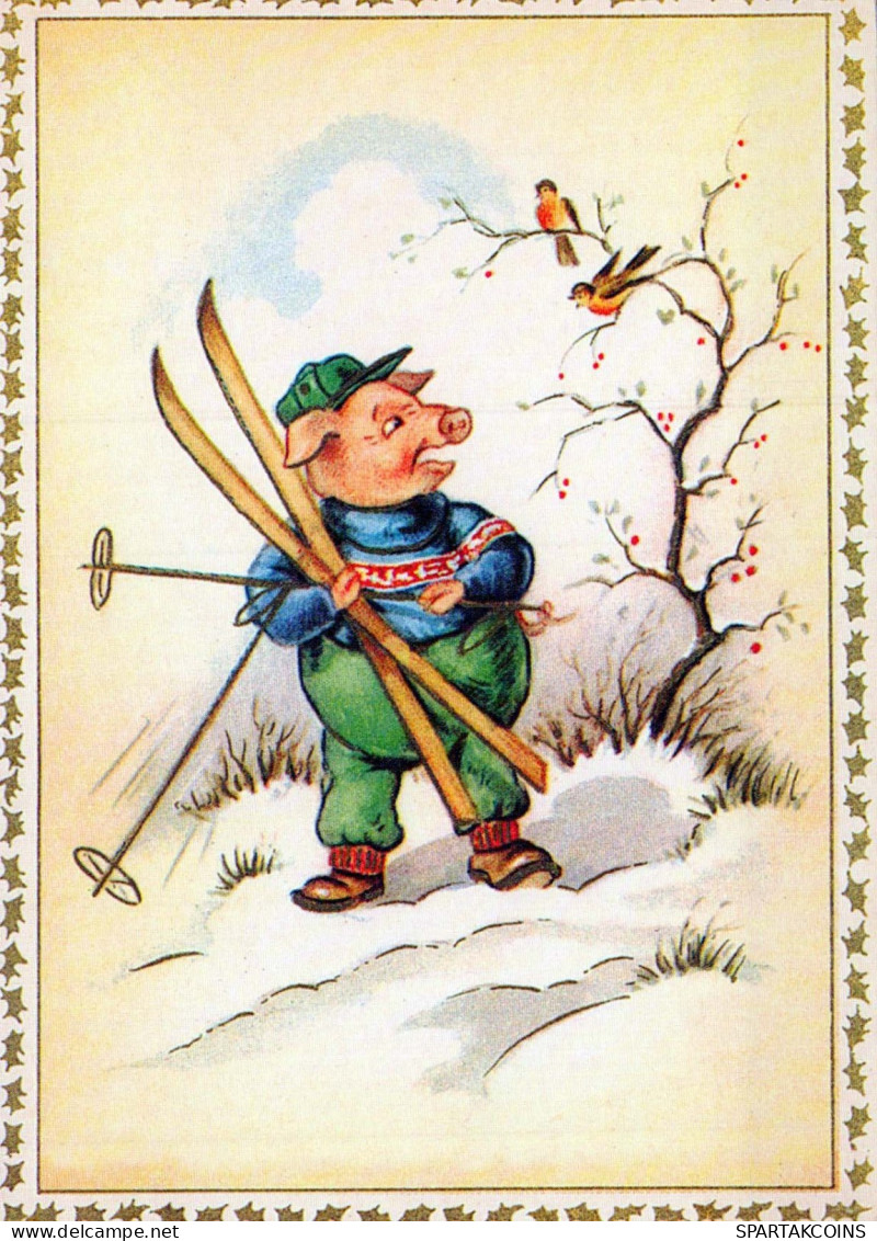 PIGS Tier Vintage Ansichtskarte Postkarte CPSM #PBR770.DE - Cochons