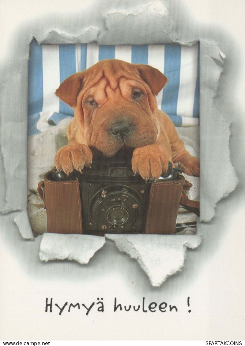 HUND Tier Vintage Ansichtskarte Postkarte CPSM #PBQ408.DE - Chiens