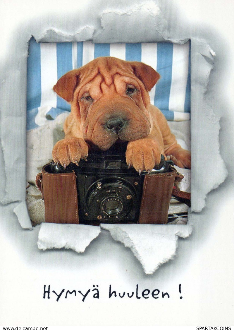 HUND Tier Vintage Ansichtskarte Postkarte CPSM #PBQ408.DE - Chiens