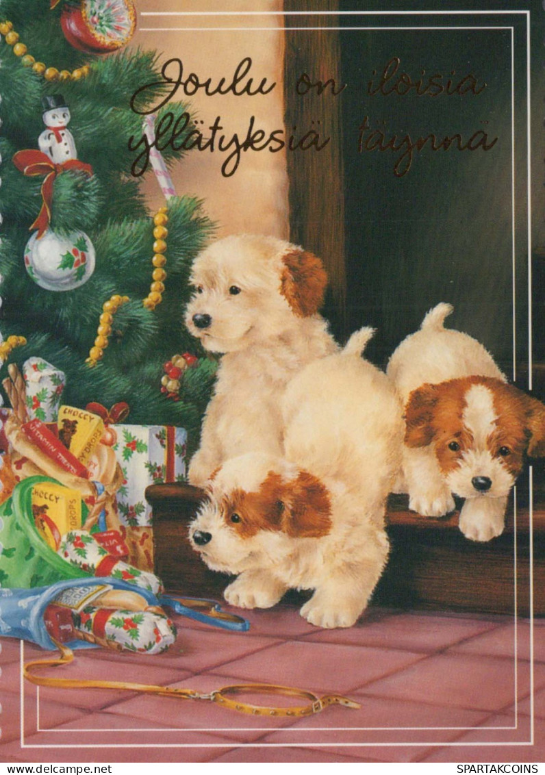 HUND Tier Vintage Ansichtskarte Postkarte CPSM #PBQ608.DE - Chiens