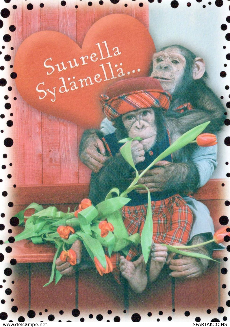 SCIMMIA Animale Vintage Cartolina CPSM #PBR988.IT - Monos