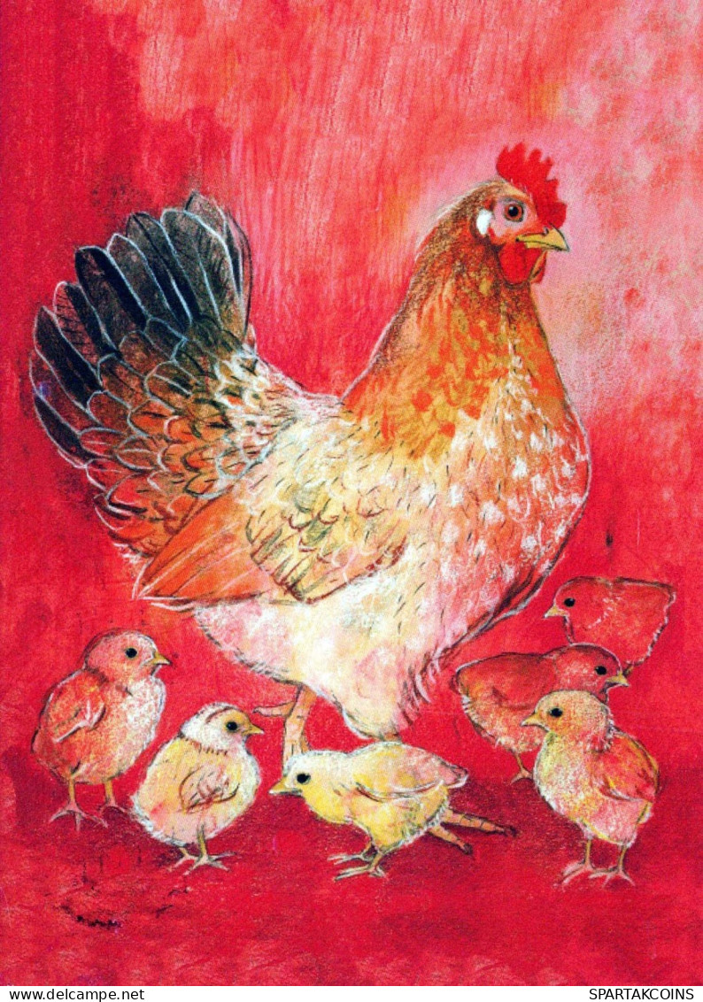 UCCELLO Animale Vintage Cartolina CPSM #PBR580.IT - Oiseaux