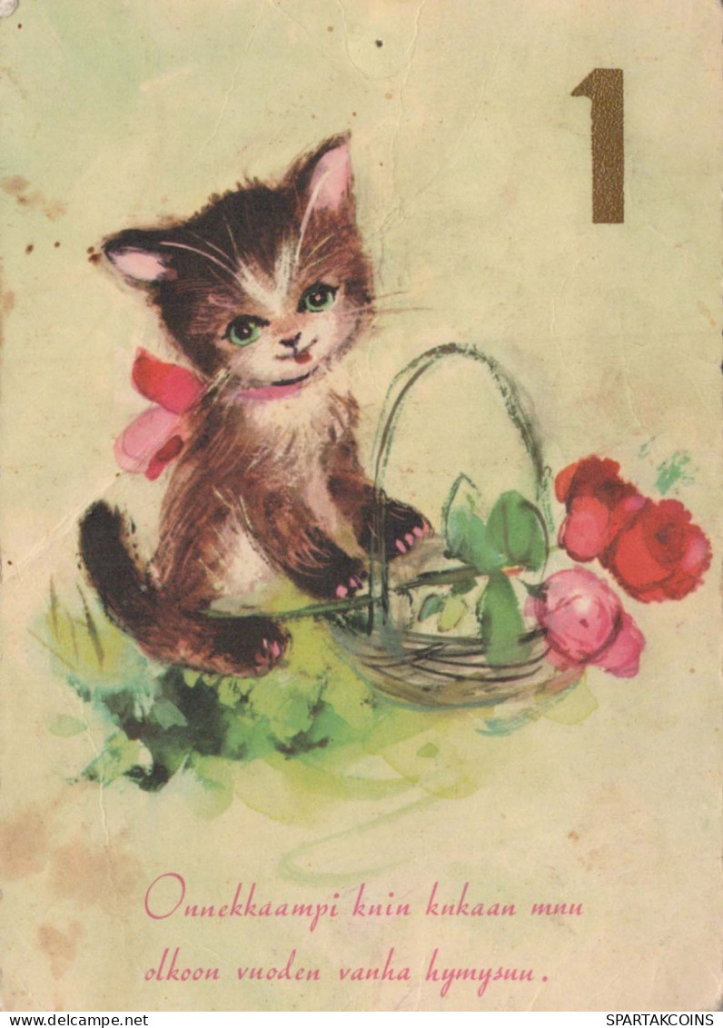 GATTO KITTY Animale Vintage Cartolina CPSM #PBQ865.IT - Chats