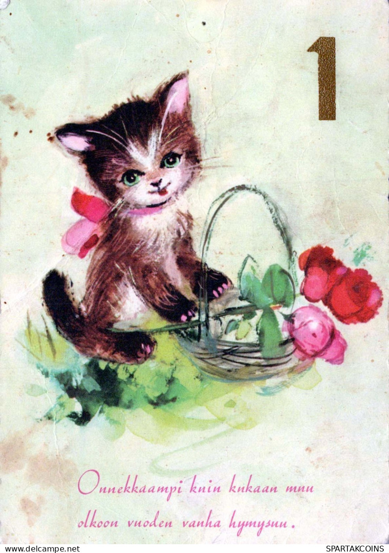 GATTO KITTY Animale Vintage Cartolina CPSM #PBQ865.IT - Chats