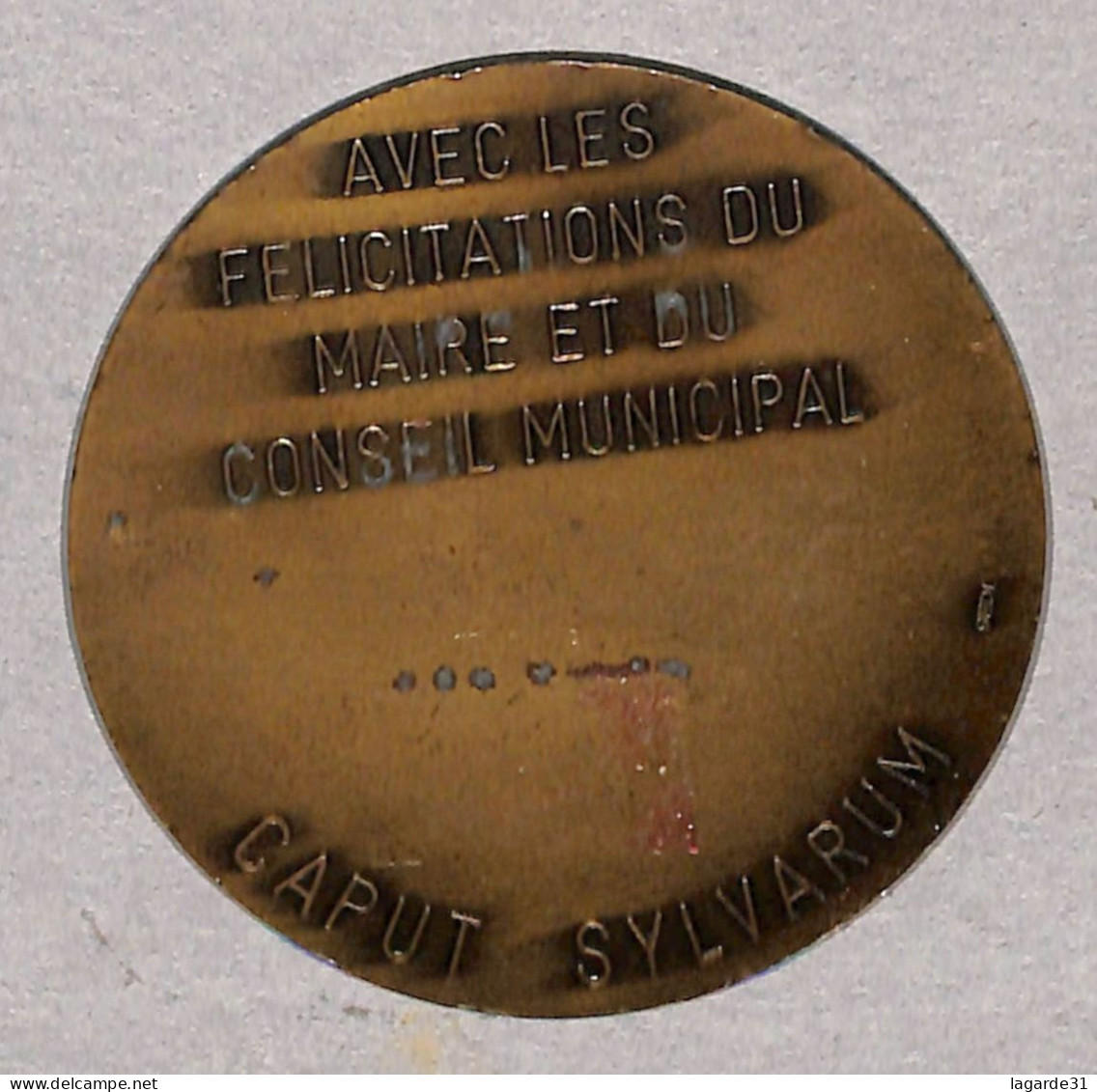 Medaille Captieux Gironde  Rare Et Unique Sur Delcampe - Autres & Non Classés