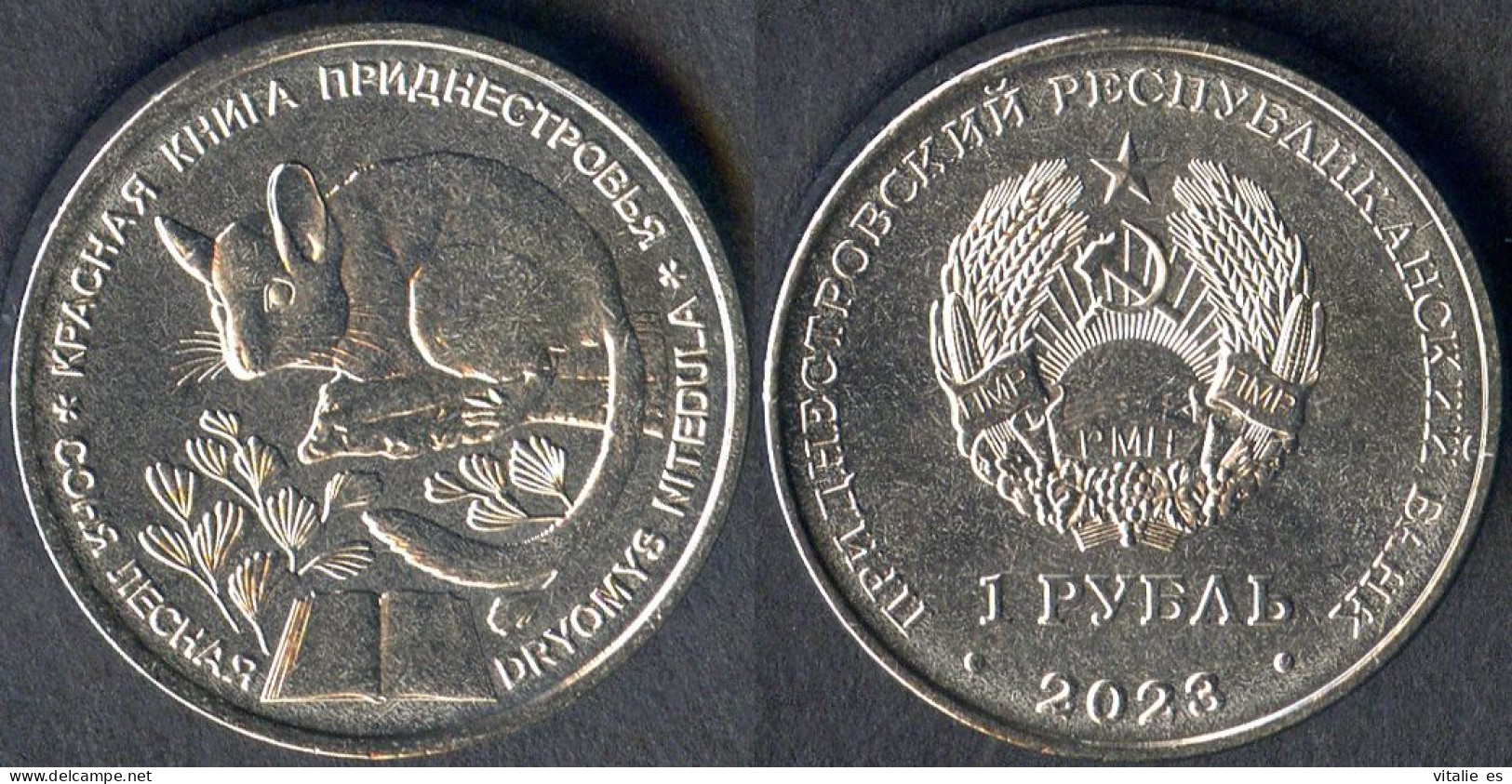 Transnistria Moldova 1 Ruble 2023 UNC - Red Book - Dryomys Nitedula - Moldavia